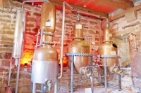 Mitgliederversammlung 2022